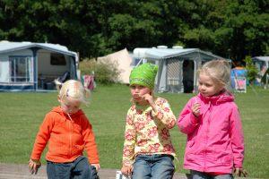 Camping-de-Bronzen-Emmer-6_300x100000.jpg