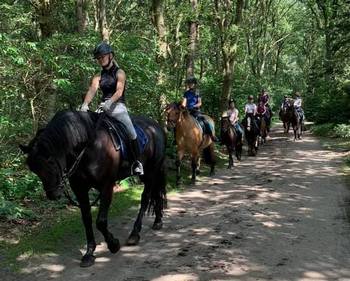 Manege De Bronzen Emmer bos tekst