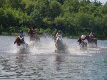 8x Pony vakantie met verzorgpony of eigen paard mee bij huisje - Mamaliefde