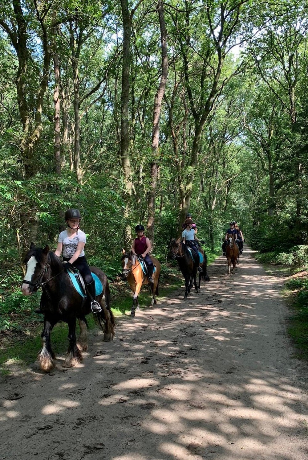 Buitenrit-De-Bronzen-Emmer-bos-5