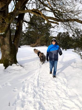 wandelen in de sneeuw